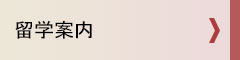 留学案内