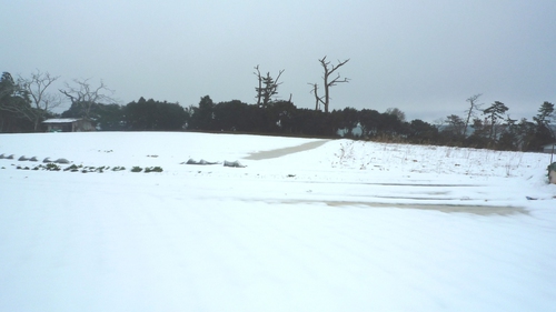P1010584.JPG
