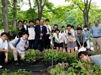 150509donguri.jpg
